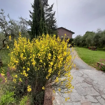 Farm stay Campo Contile
