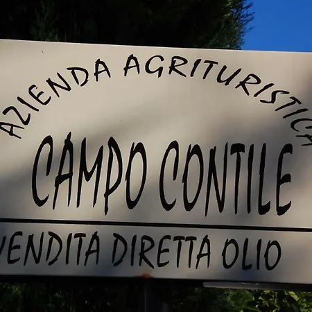 Campo Contile