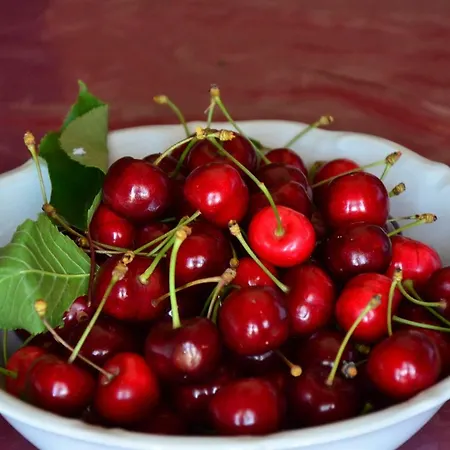 Campo Contile בית חווה